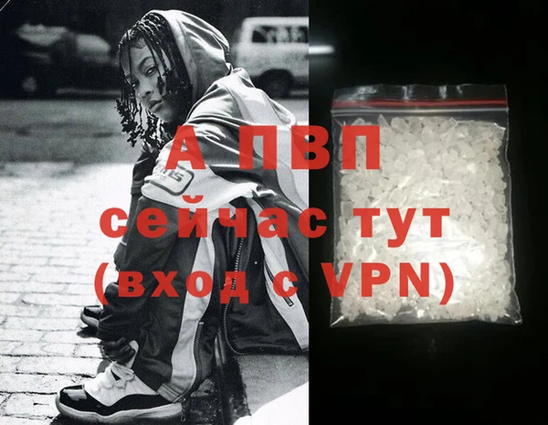 стафф Заволжье