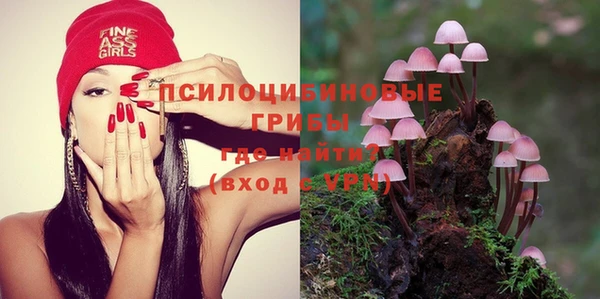 гашик Заволжск