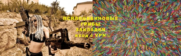 мет Ельня